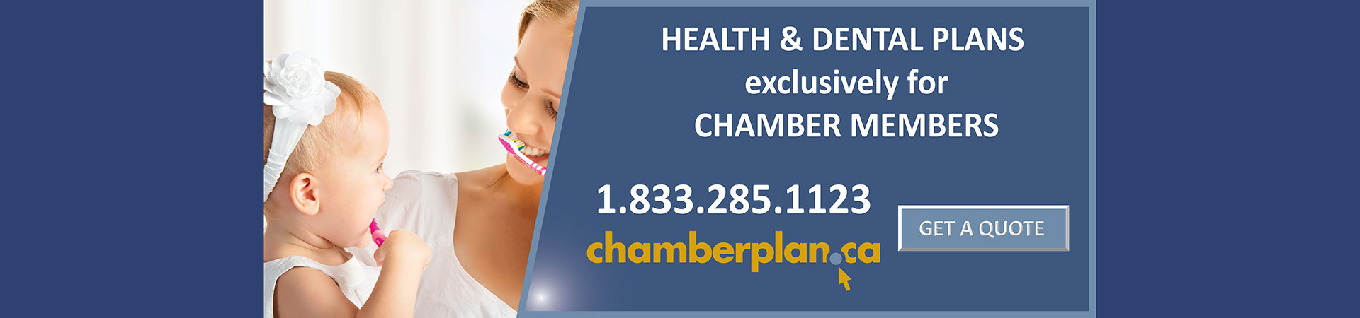 chamber-plan-health-dental-plans